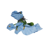 Buque c/ 05 galhos de copo de leite artificial 4708 SMO Iimport