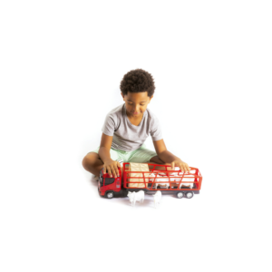 Caminhao top truck boiadeiro ref 312 bs toys