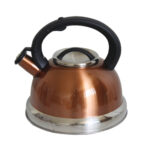 Chaleira 3,0 lts inox color c/ apito ref ixb02006 Wincy