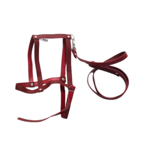 Coleira c/ guia p/ pets ref 315 Perottoni