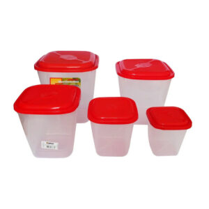 Jogo mantimento 05 pcs plastico transparente ref 6653 Inplast