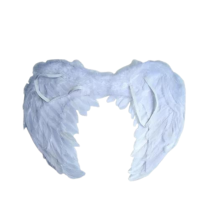 Fantasia asas de anjos c/ penas color ref hf67802 Interponte