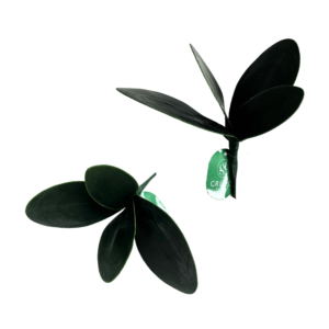 Galho folha 23cm verde de orquidea ref 43679004 Grillo