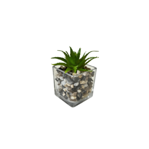 Vaso decorativo vidro 5,5x5,5cm c/ planta artificial 9339 Fu Xing
