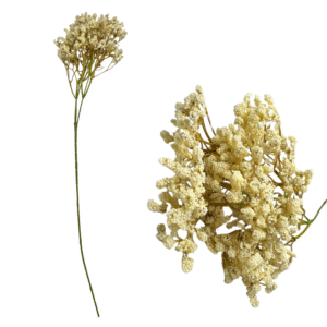 Galho de flor artificial latifolha creme 64cm ref 5890 SMO Import