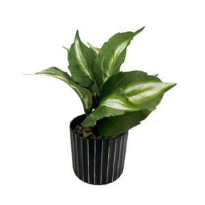 Vaso 18x8x8cm decorativo c/ planta artificial cb4819 C3B Comercio