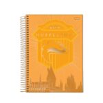Caderno 10 mat 160 folhas espiral capa dura harry potteer Jandaia