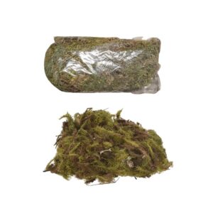 Produto Musgo natural 40g