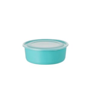 Produto Caixa organizadora red 2.8 lts ref 2269 Ercaplast